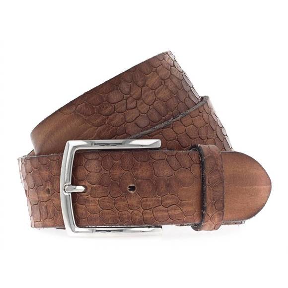 NEW B. BELT unisex kaan belt in baileys - Picture 1 of 2